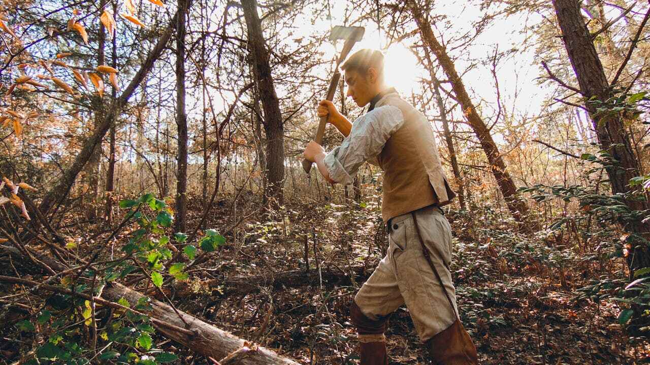 Tree Branch Trimming in Naples Manor, FL